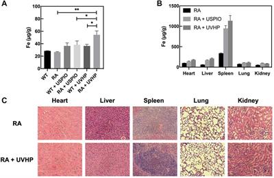 VHPKQHR Peptide Modified Ultrasmall Paramagnetic Iron Oxide Nanoparticles Targeting Rheumatoid Arthritis for T1-Weighted Magnetic Resonance Imaging